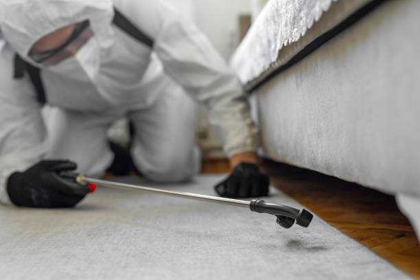 Professional Termite Control technician working in Rockledge, PA